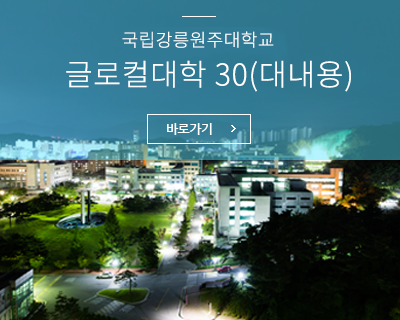 글로컬대학 30(대내용) 바로가기