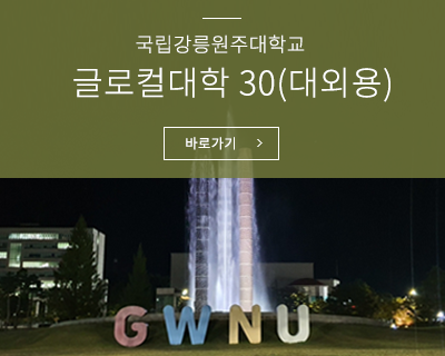 글로컬대학 30(대외용) 바로가기